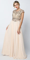 Champagne long A-line dress with cap sleeves and beaded bodice, chiffon pleated skirt.