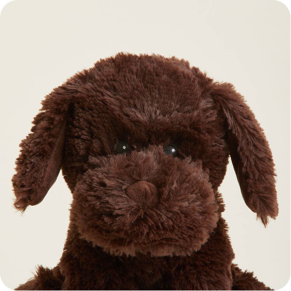 Chocolate brown plush labrador dog face close-up with floppy ears