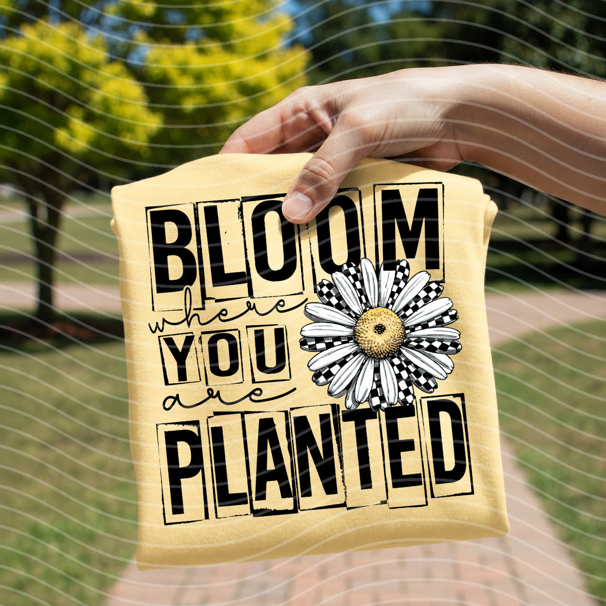 Yellow graphic tee with daisy flower and 'Bloom where you are planted' front print