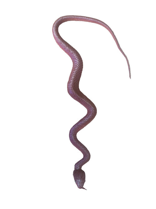 Brown rubber snake curled, with tail and head visible