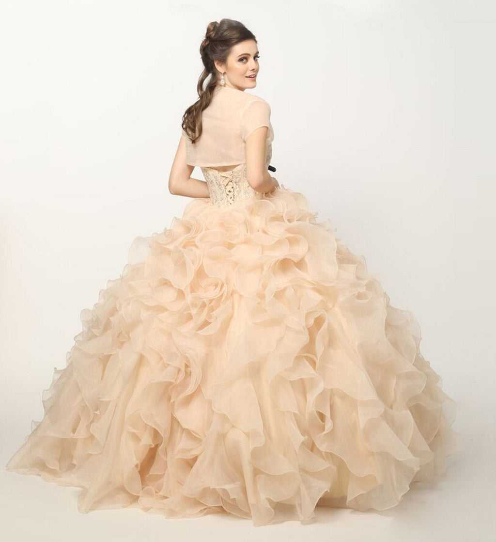 Champagne strapless ball gown with beaded corset bodice and layered organza ruffle skirt, back side