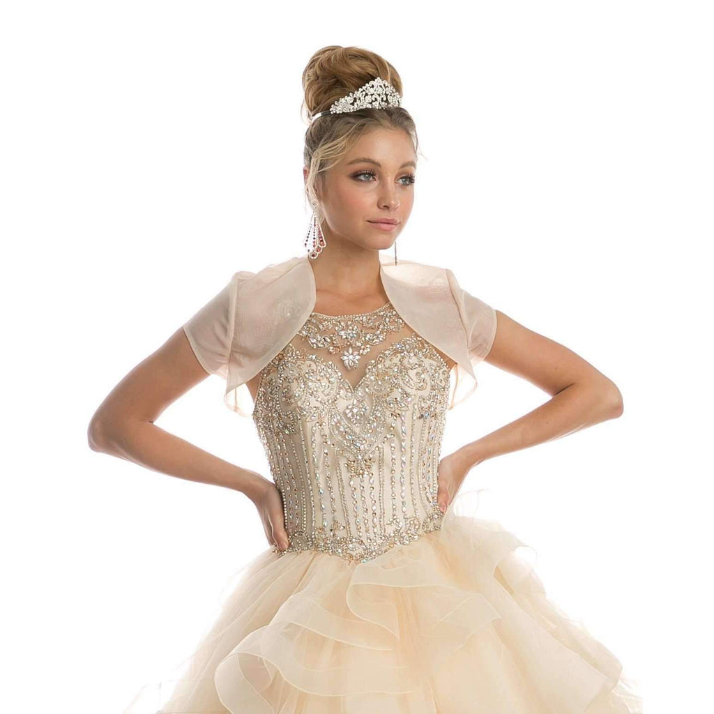 Champagne embellished bodice with sheer jacket sleeves and tiered tulle ball gown skirt