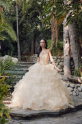 Champagne A-line princess ball gown with ruffled tiered tulle skirt and sheer jacket