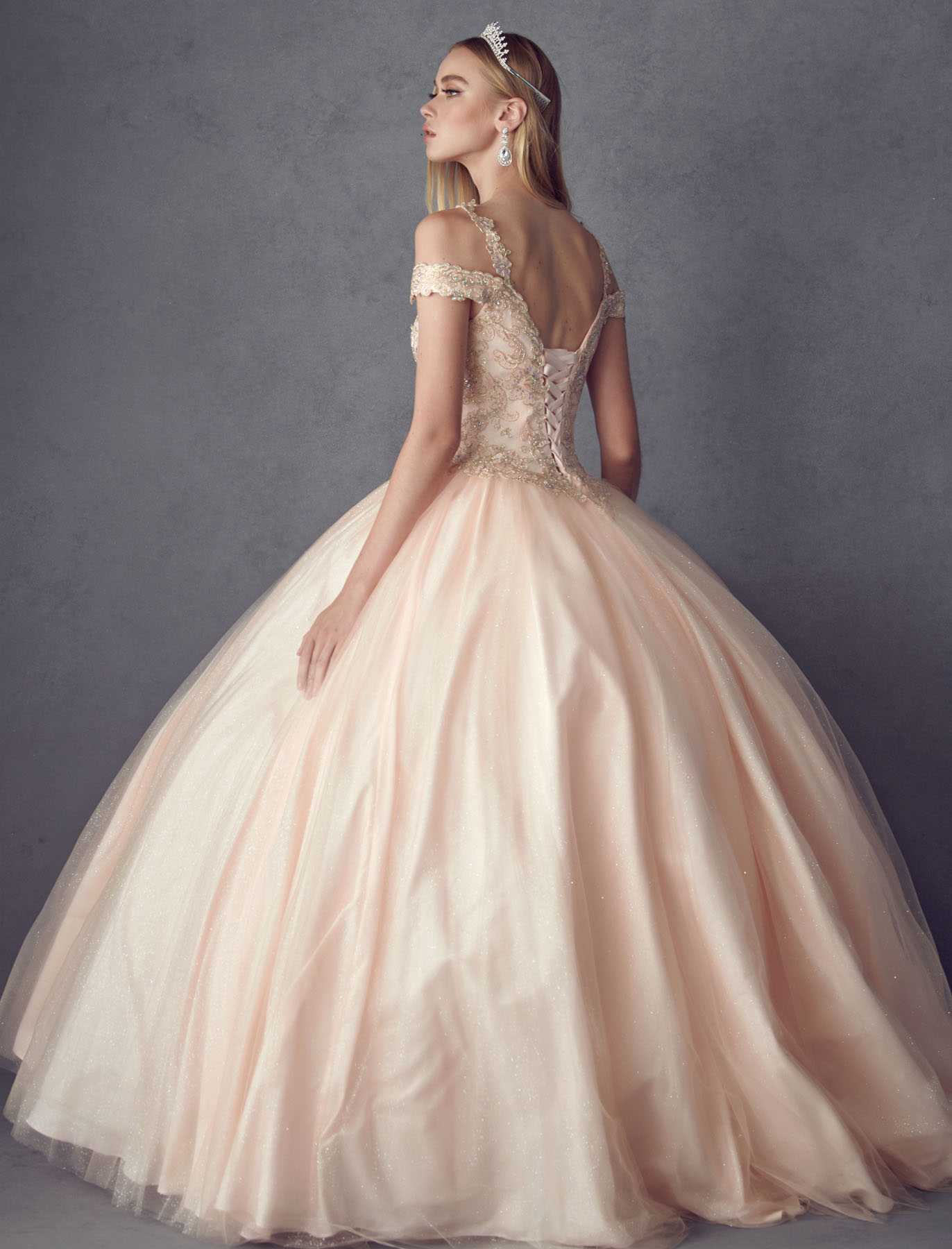 Blush ball gown with sparkle embroidered bodice, off-shoulder cap sleeves, full tulle skirt
