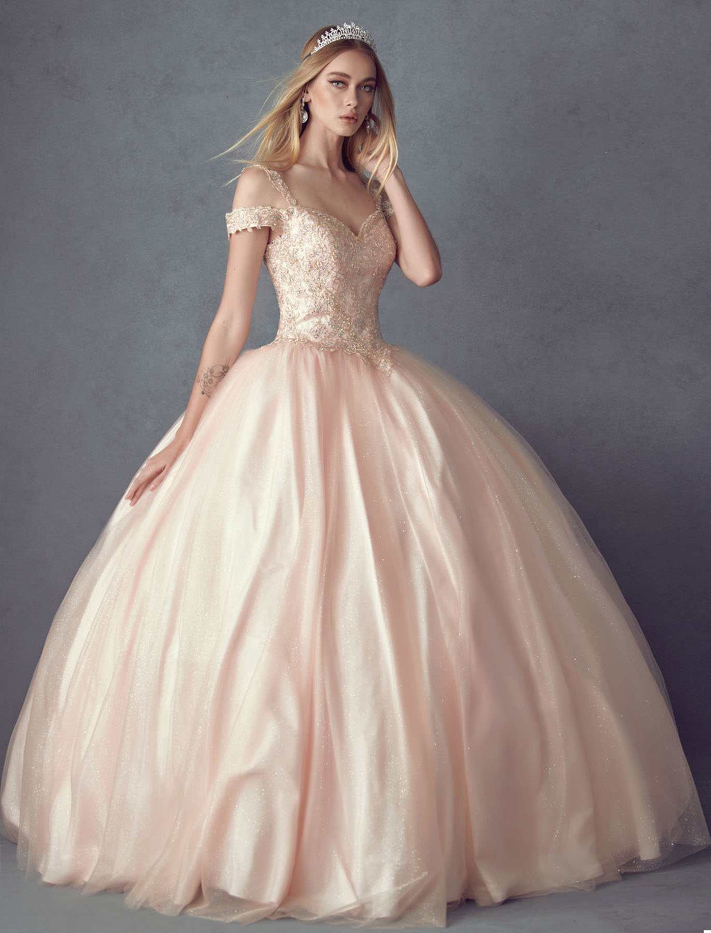 Blush embroidered tulle ball gown with glitter corset bodice, off-shoulder sleeves, full skirt