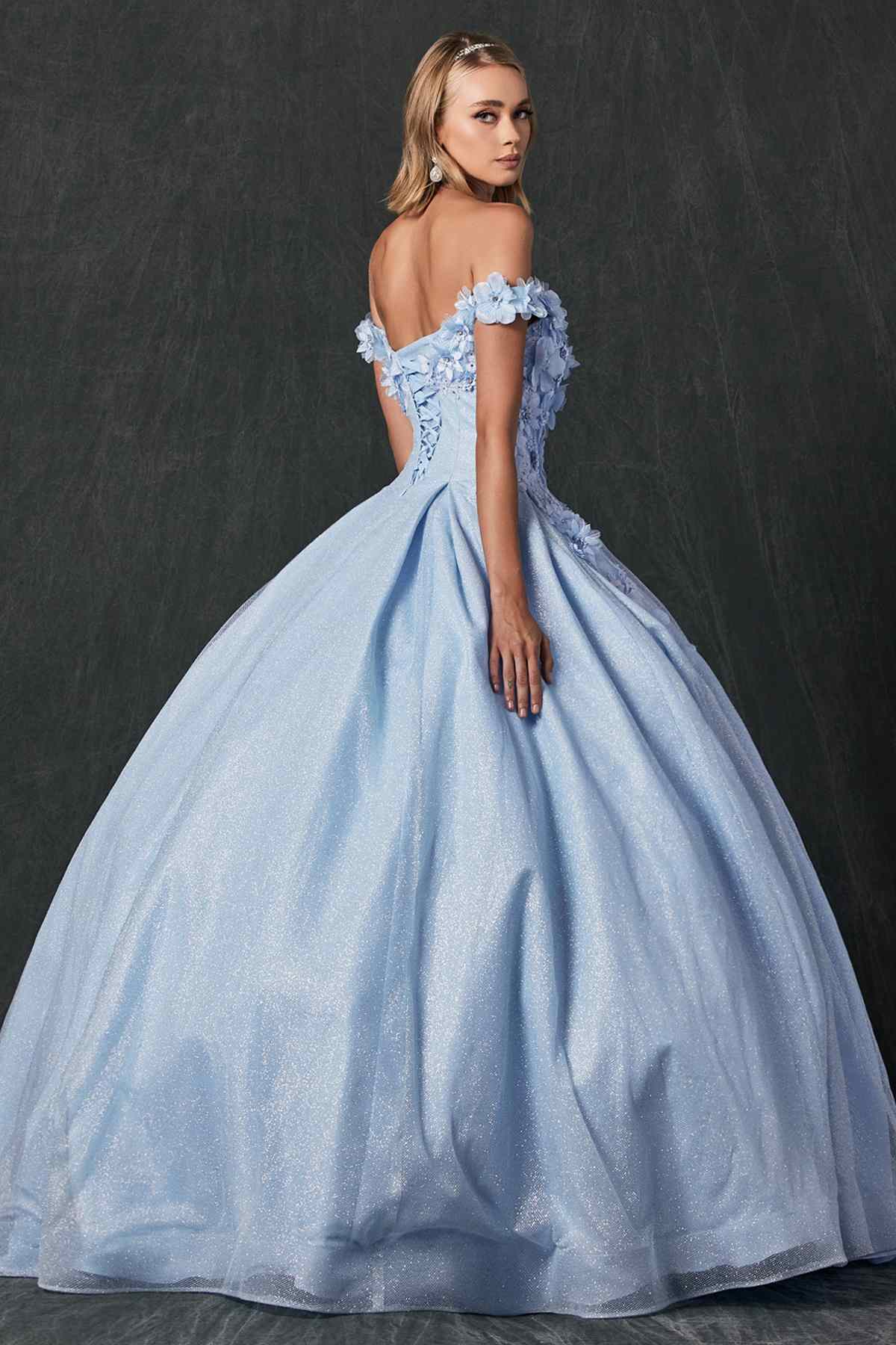 Light blue off-shoulder ball gown with fitted bodice, floral appliques, and full tulle skirt