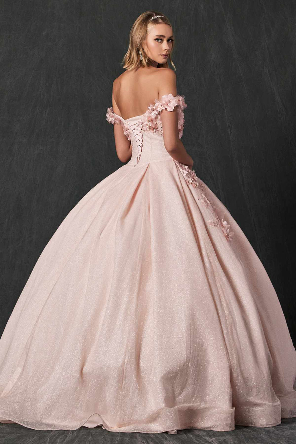 Blush ball gown with off-shoulder floral sleeves, lightly embroidered skirt