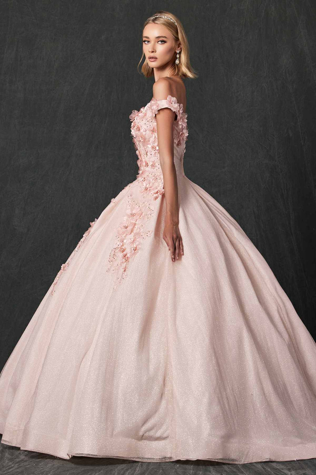 Blush ball gown with off-shoulder floral sleeve trim, fitted waist, sweeping skirt