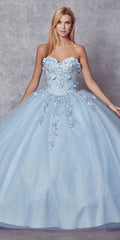 Light blue A-line ball gown with floral appliqué bodice and full tulle skirt