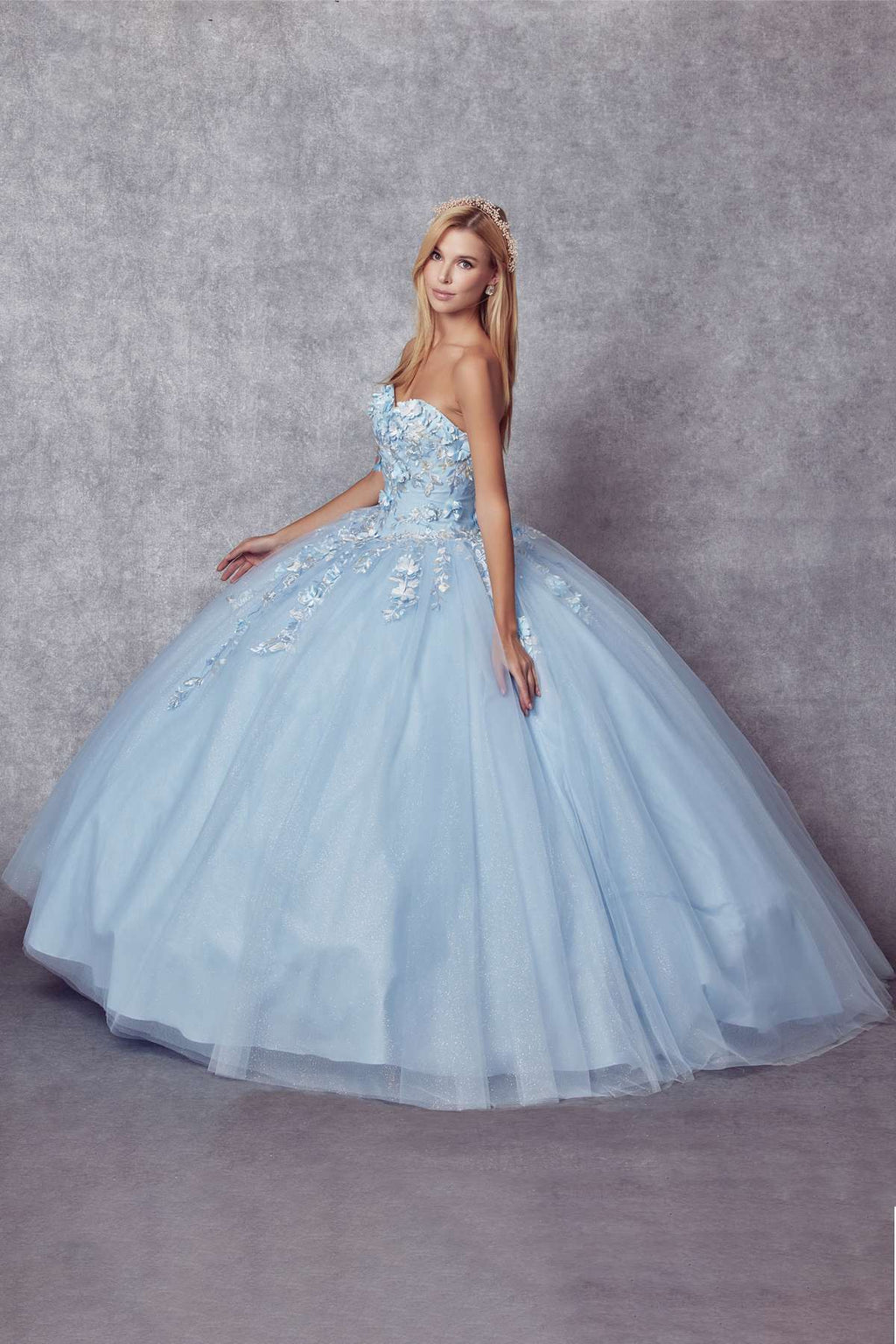 Light blue A-line ball gown with off-shoulder floral appliqué bodice and tulle skirt