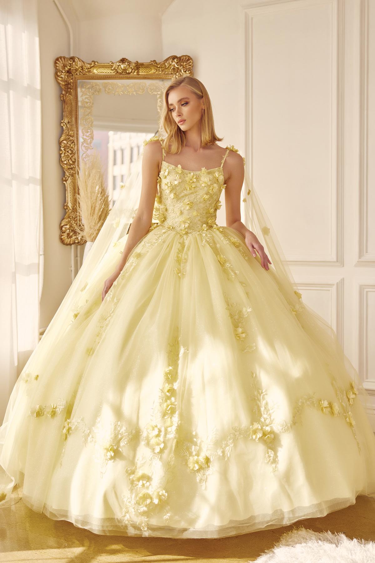 Yellow ball gown with floral sequined bodice, full A-line tulle skirt, and sheer veil