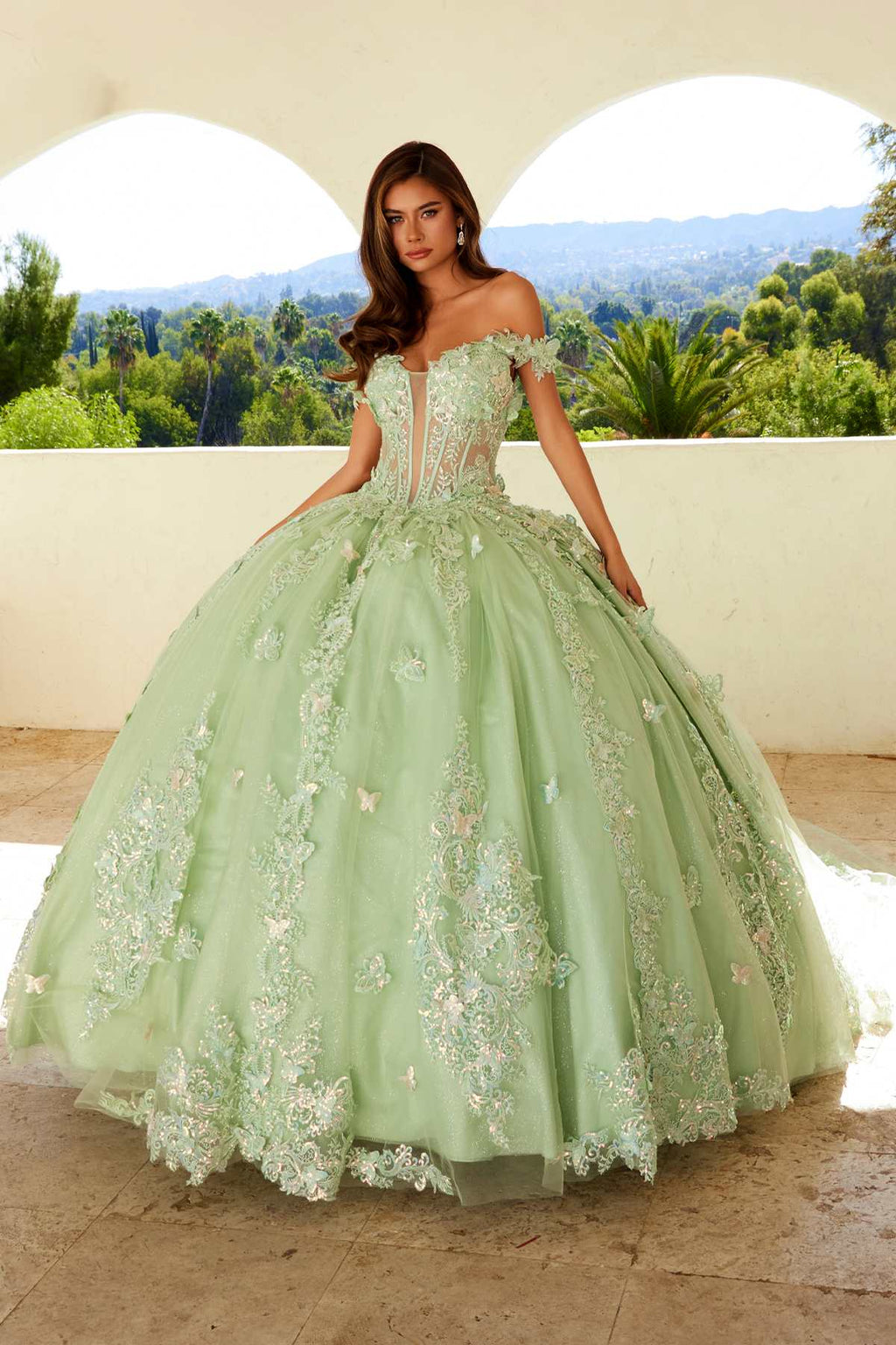 Sage green off-shoulder ball gown with lace bodice and voluminous embroidered tulle skirt