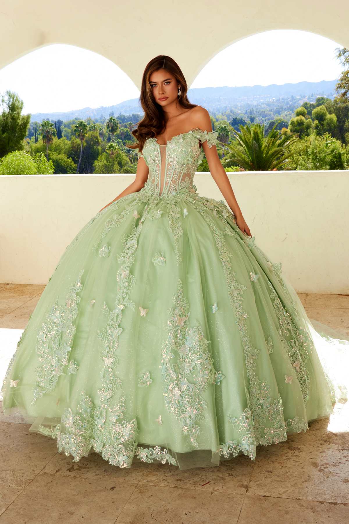 Sage green off-shoulder ball gown with lace bodice and voluminous embroidered tulle skirt