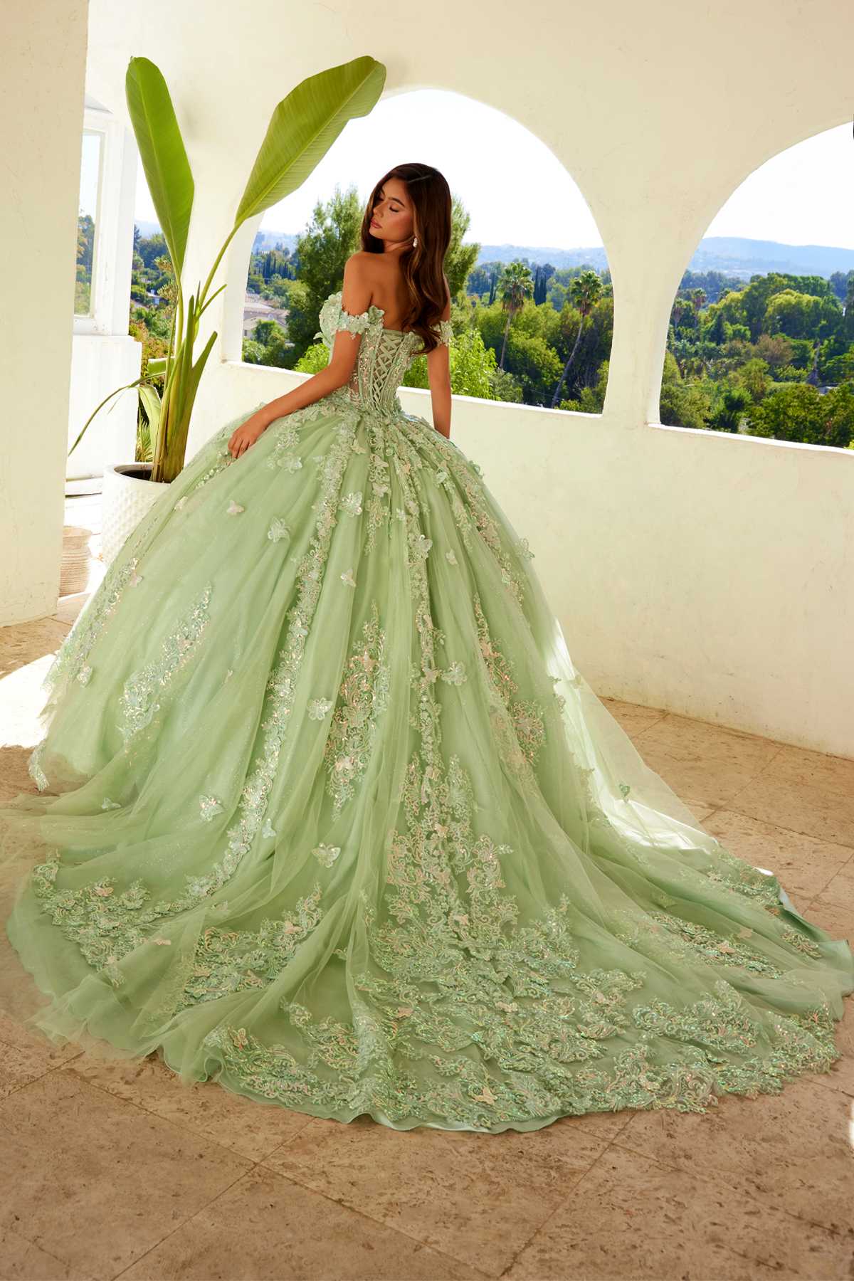 Sage green off-shoulder ball gown with full embroidered tulle skirt and lace neckline