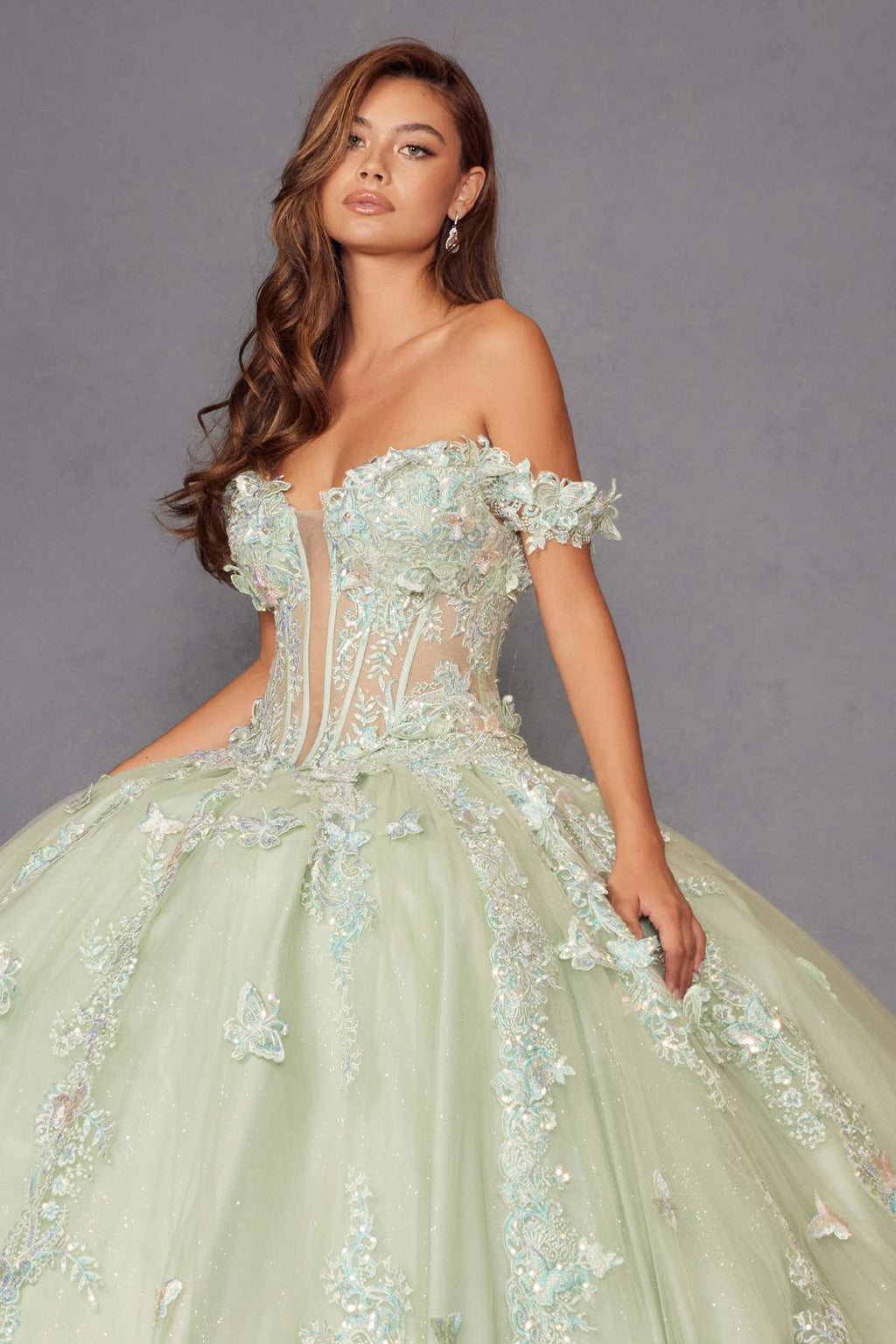 Sage green off-shoulder ball gown with floral appliqué bodice and full tulle skirt