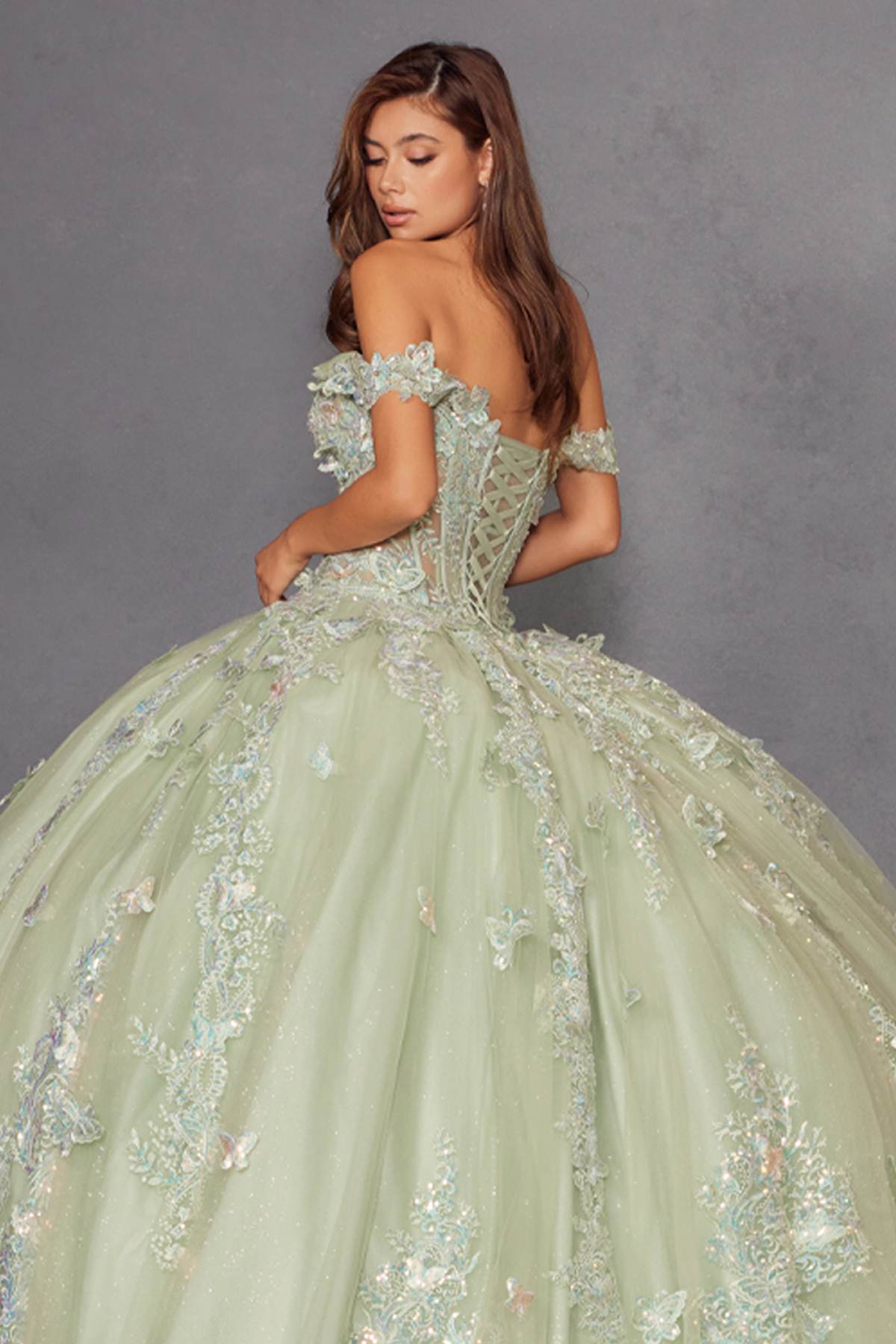 Sage green off-shoulder ball gown with lace sleeves and sparkling embroidered skirt