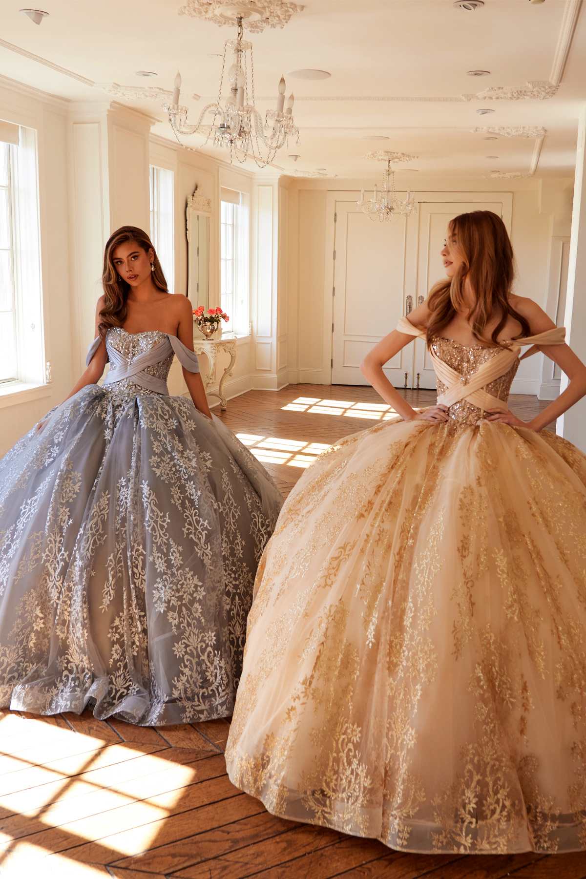 Silver A-line ball gown with embroidered bodice, off-shoulder sleeves, full skirt.