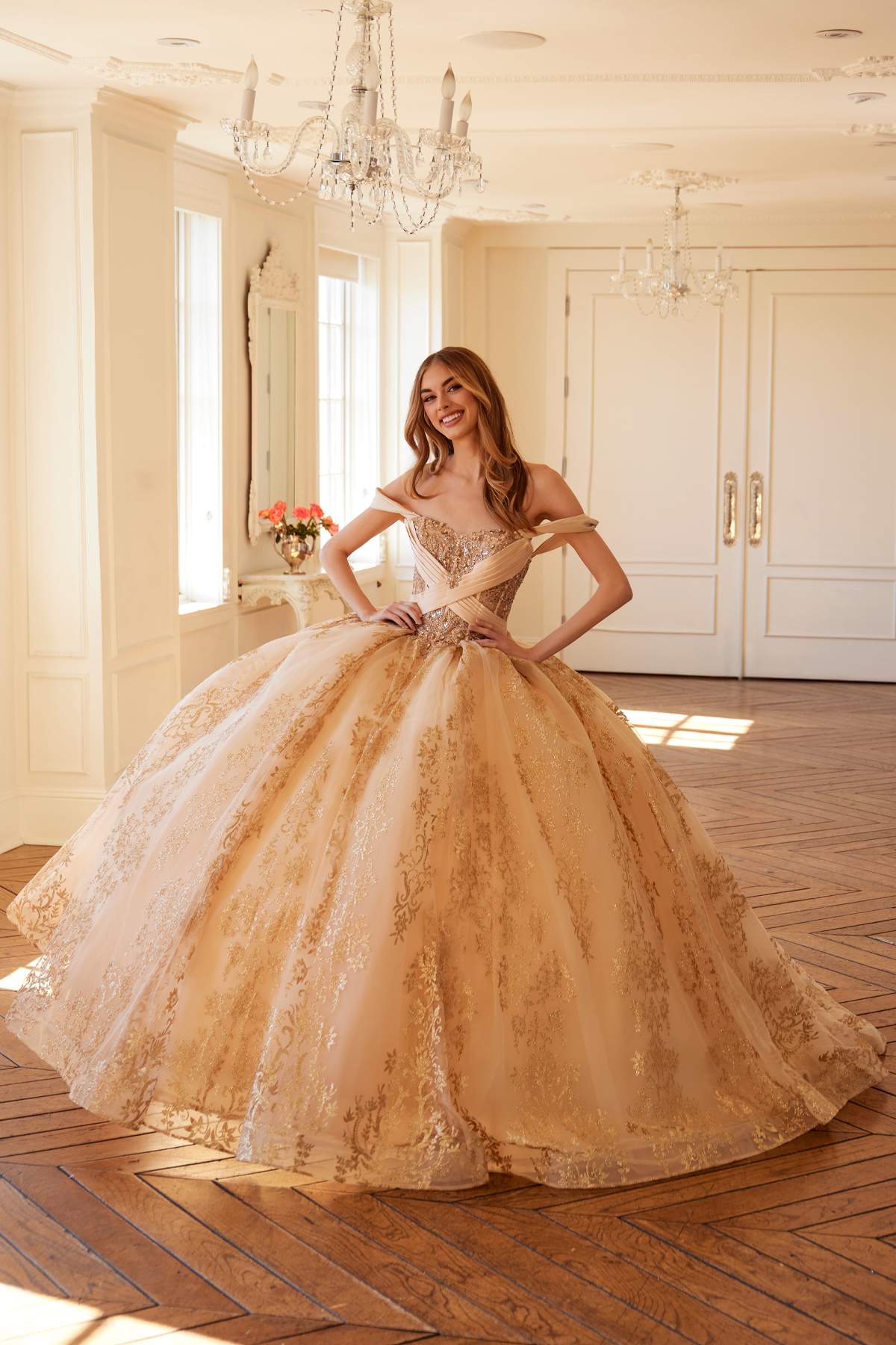 Juliet Royal Princess A-line ball gown in gold, fitted waist and embroidered lace tulle skirt