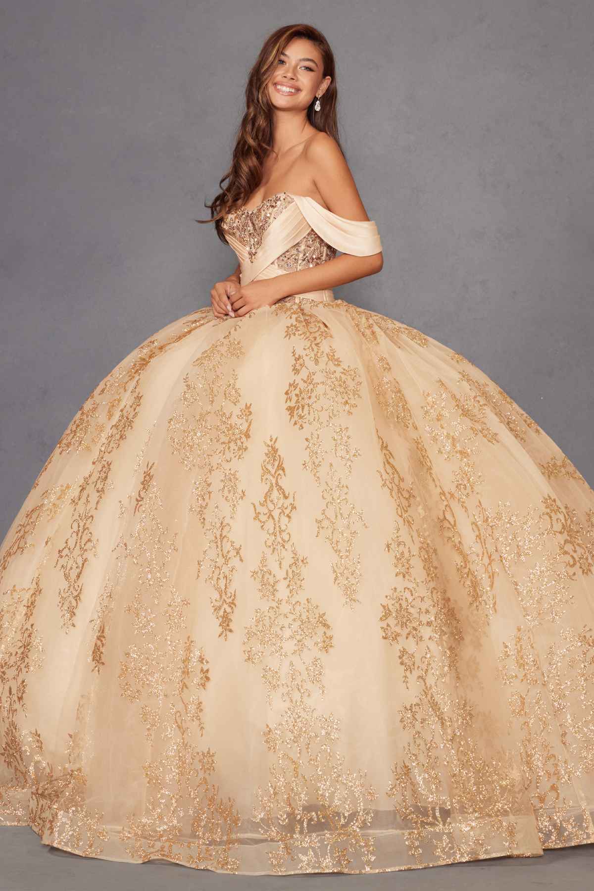 Gold A-line ball gown with embroidered bodice and sparkling full skirt.