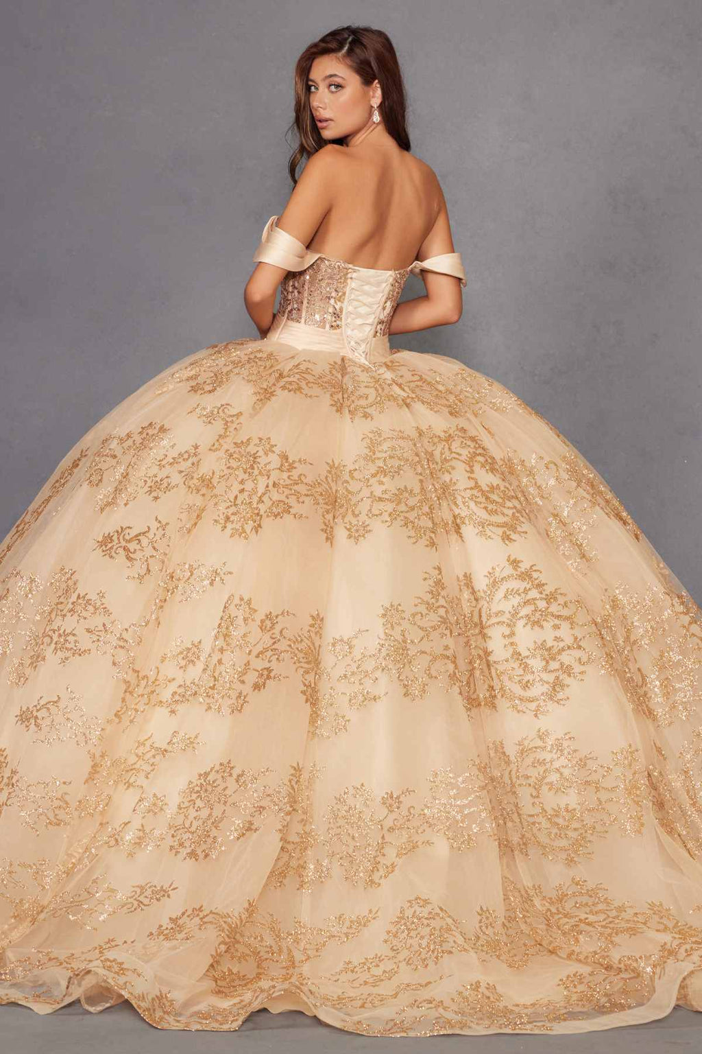Gold A-line ball gown with embroidered corset bodice and voluminous skirt.