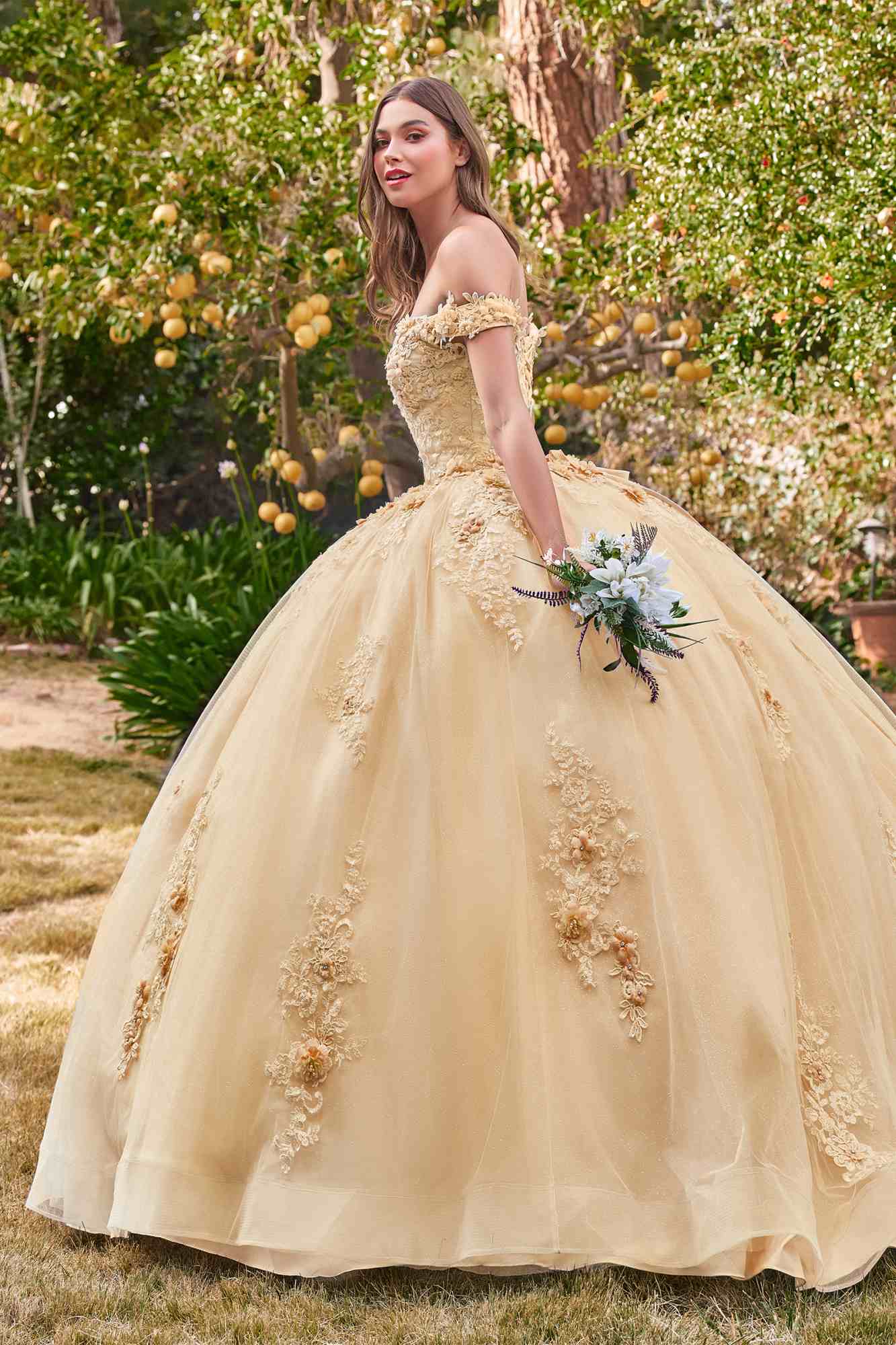 Champagne off-shoulder ball gown with embroidered lace bodice and full tulle skirt