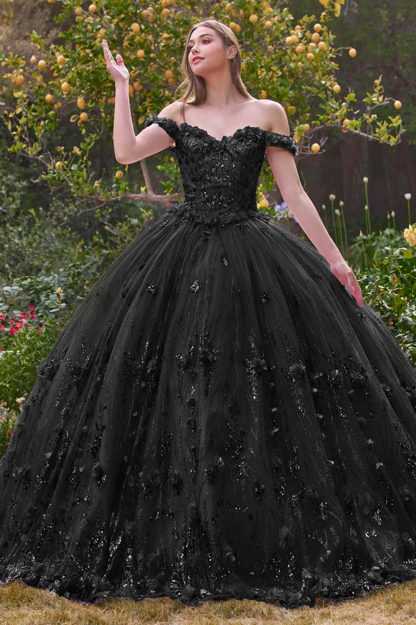 Black off-shoulder embroidered ball gown with fitted corset and full sparkling skirt