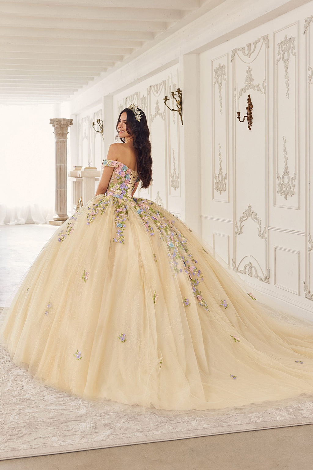 Champagne quinceanera ball gown from behind, with floral appliqué embroidery on tulle