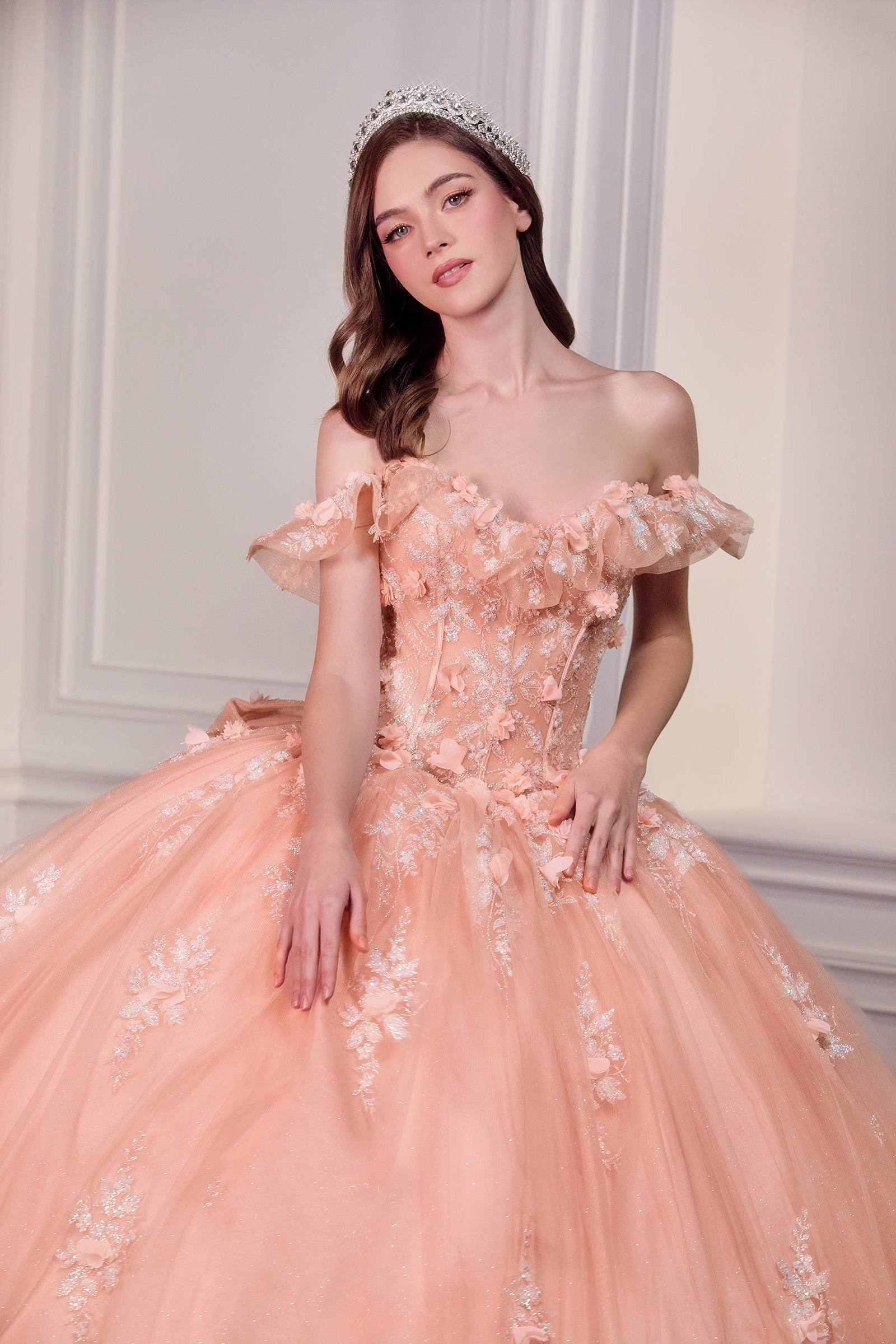 Blush off-shoulder ball gown with corset bodice, floral lace sleeves, and tulle skirt