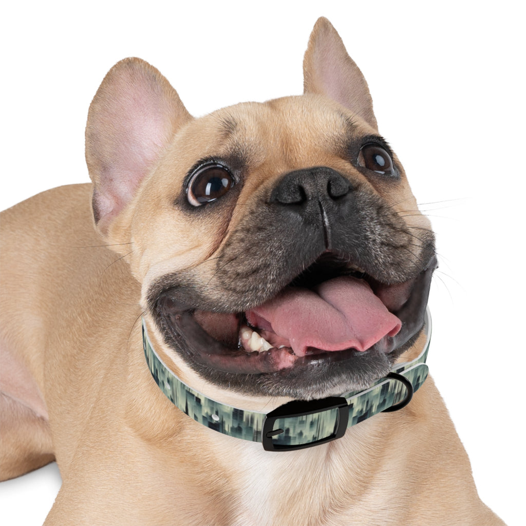 Echoes of a City in Mist and Repeat - Pet Collar Pet Zen