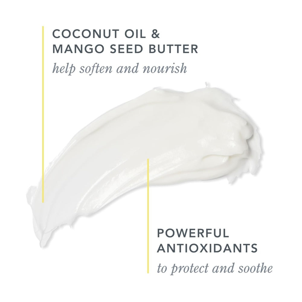 Coconut oil and mango seed butter cream infographic with antioxidants