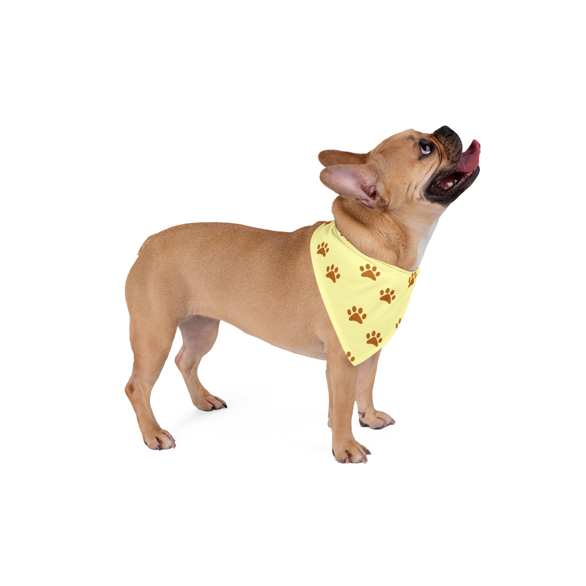 Golden Pawprints on Buttercream Sky - Pet Bandana Pet Zen