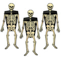 Skeleton Party Favor Boxes- 3 Count