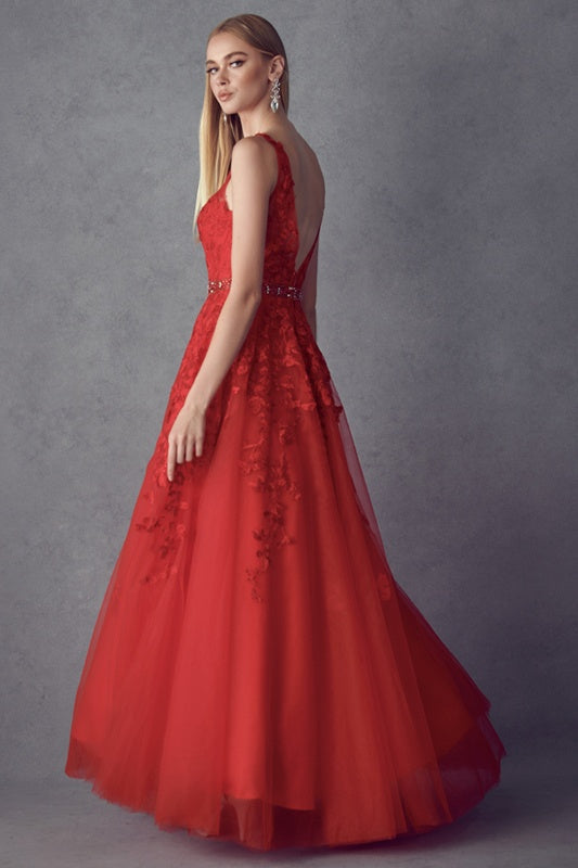 Red embroidered tulle A-line ball gown with V-neck sleeveless bodice and full skirt
