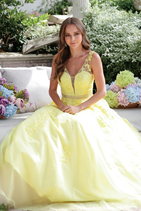 Embroidered tulle A-line ball gown with V-neck, yellow lace detail
