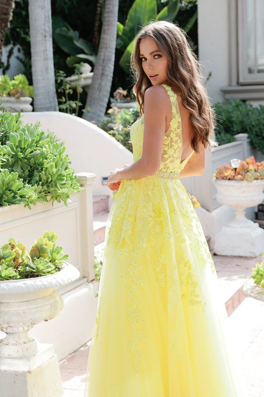Embroidered tulle A-line ball gown, yellow V-neck bodice and full skirt
