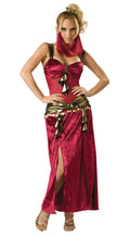 Incharacter Women's Sexy Deluxe Desert Harem Belly Dancer Adult Costume Medium