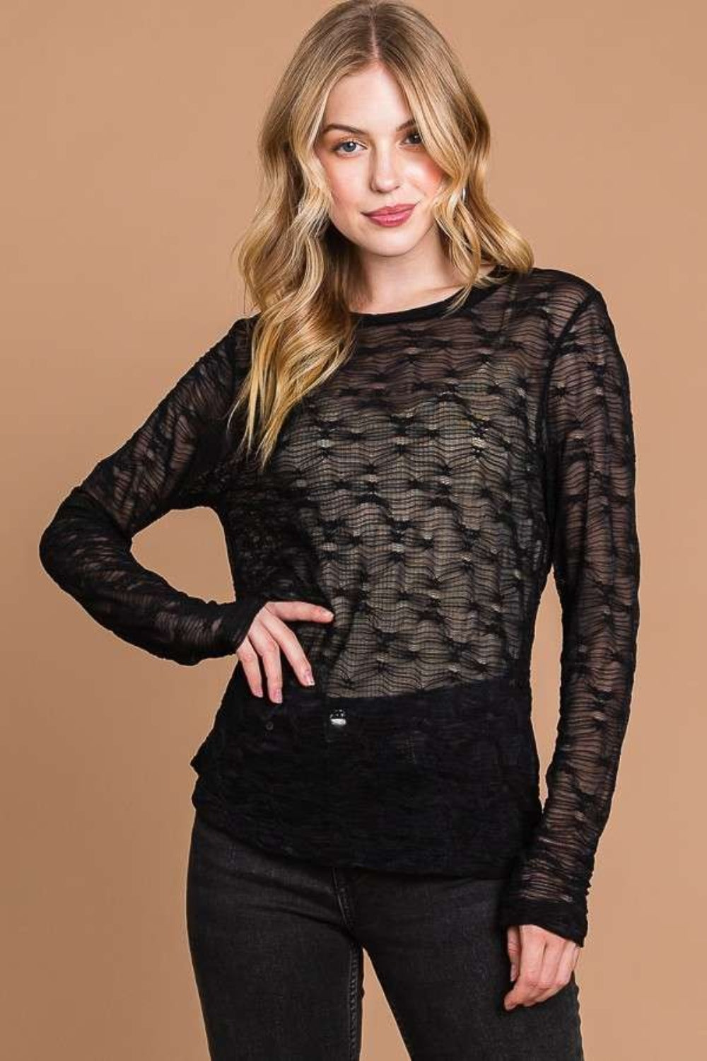 Sheer Mesh Top with Round Neck