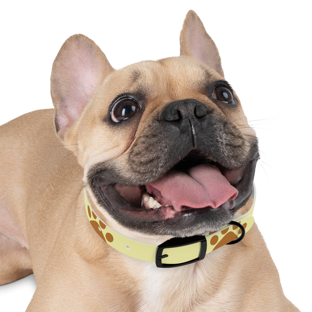 Golden Pawprints on Buttercream Sky - Pet Collar Pet Zen