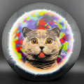 Fuzion Orbit Verdict - Kitty Trippin' - DyeMax