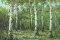 Birch tree oil painting with white trunks and lush green foliage in a forest scene