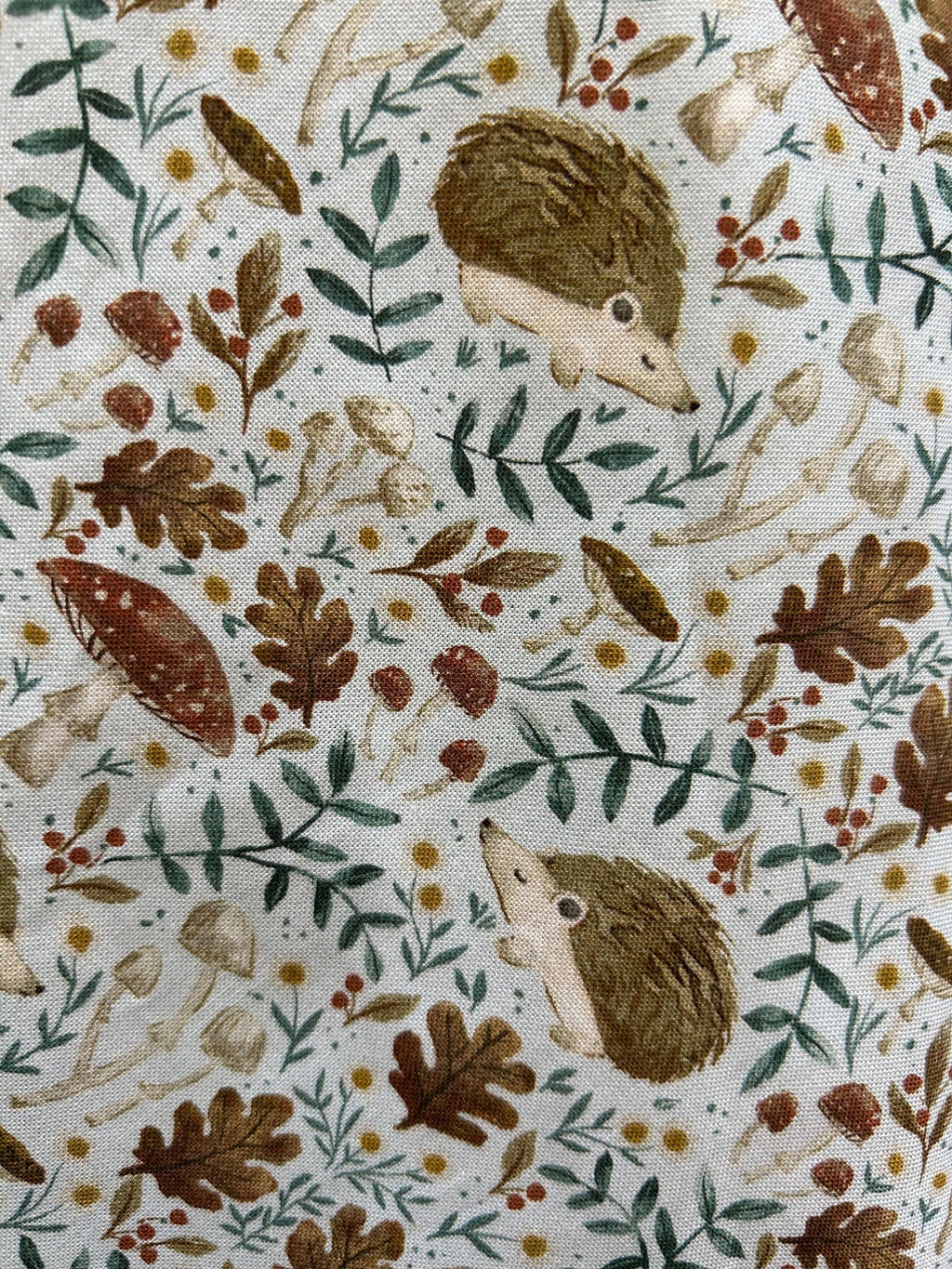 Elizabeth Dress in Hedgehogs - Large only