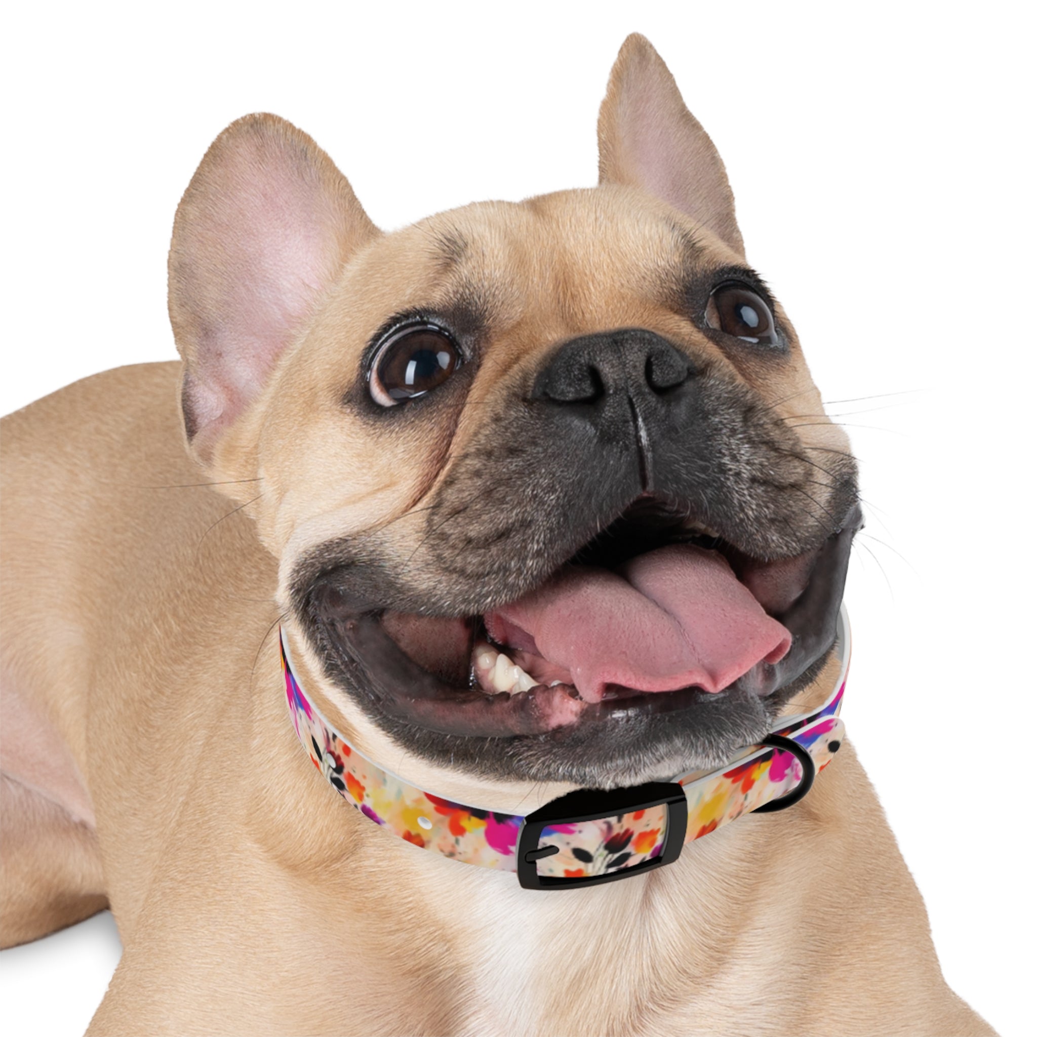 Wildflower Confetti in Watercolor Bloom - Pet Collar Pet Zen