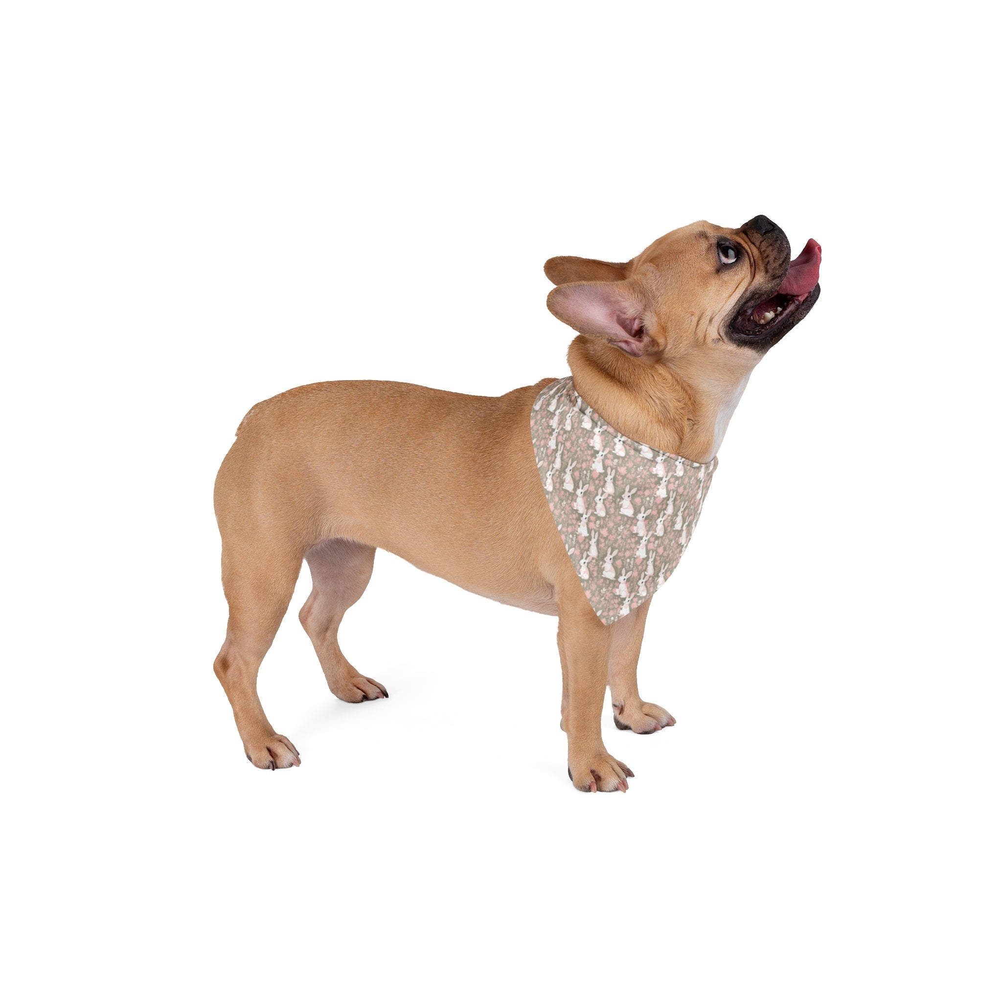 Blushing Meadow Bunny Parade Pattern - Pet Bandana Pet Zen