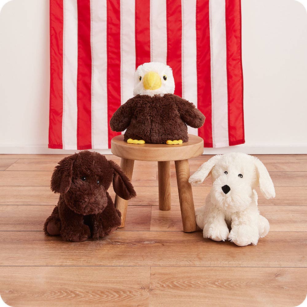 Chocolate brown plush labrador dog sitting on the floor