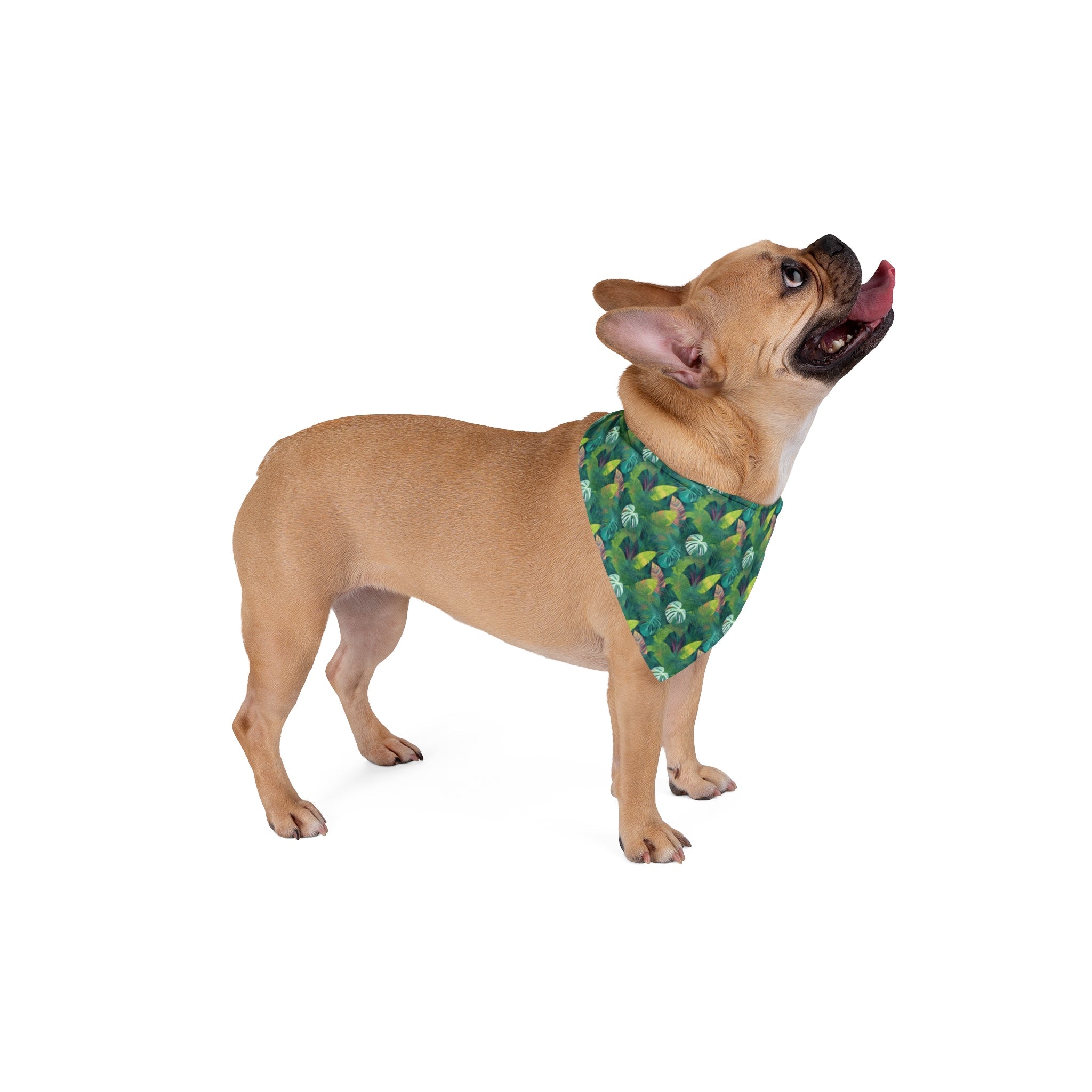 Emerald Canopy Pattern of Tropical Leaves - Pet Bandana Pet Zen