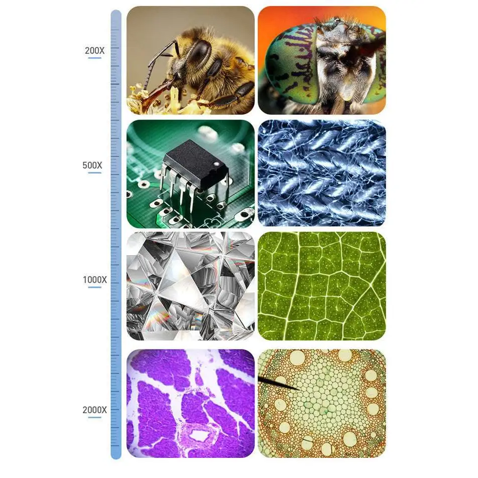 7 Inch HD Touchscreen Digital Microscope