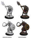 Pathfinder: Deep Cuts - Gnolls