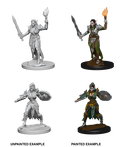 Pathfinder: Deep Cuts - Elf Female Fighter