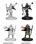 Pathfinder: Deep Cuts - Elf Male Sorcerer