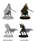 Pathfinder: Deep Cuts - Elf Male Paladin